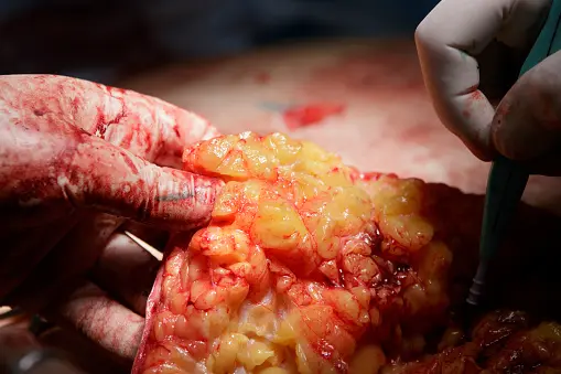 Natural studio art supplies